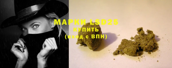 стаф Киренск