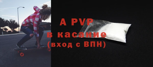стаф Киренск