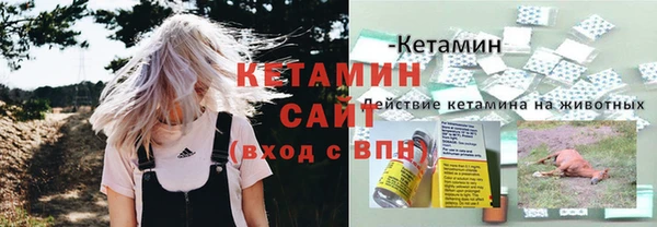 стаф Кинешма