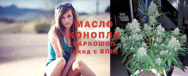 стаф Киренск